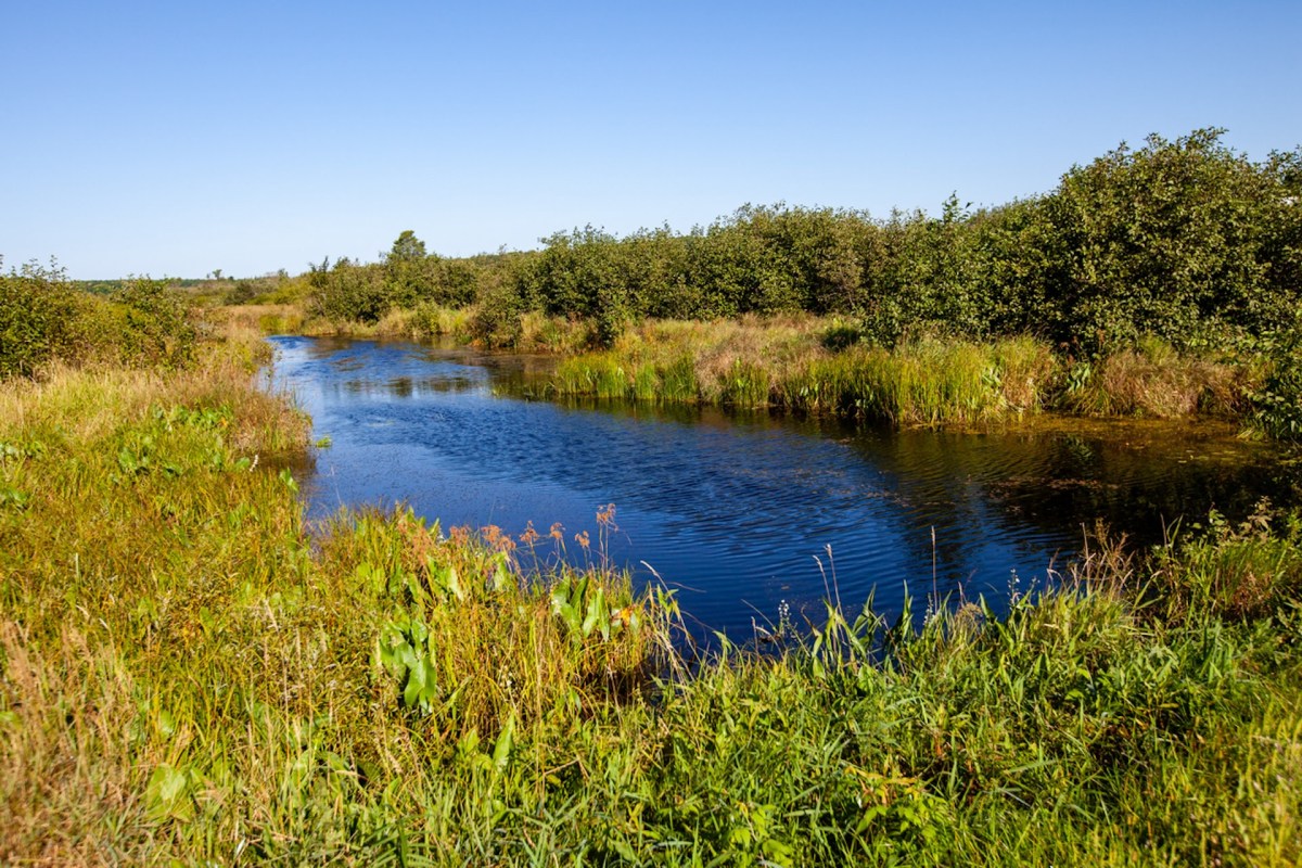 "Local government taxpayers and water district ratepayers should not be responsible for PFAS drinking water contamination."