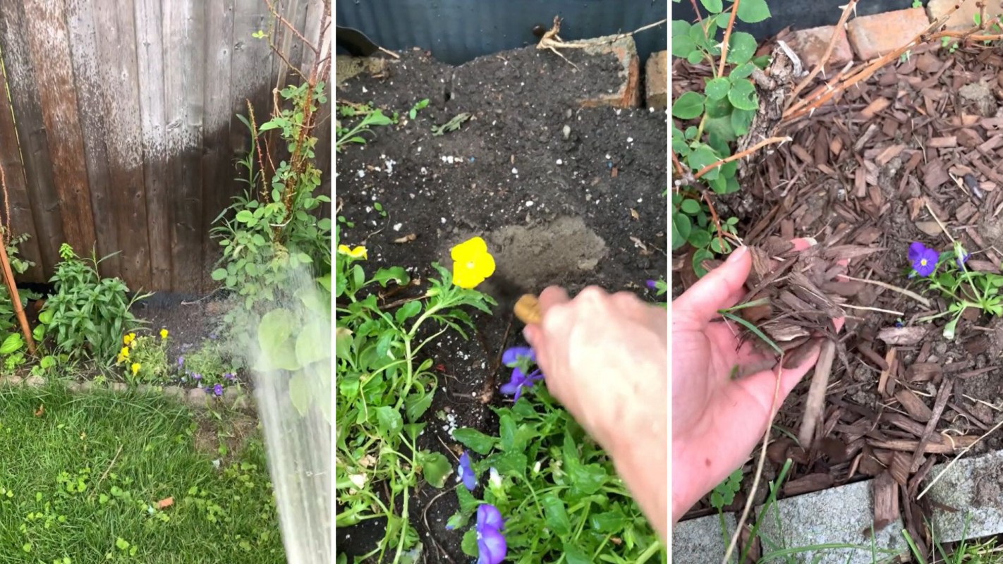 "It helps lock in moisture when it’s hot and dry.”