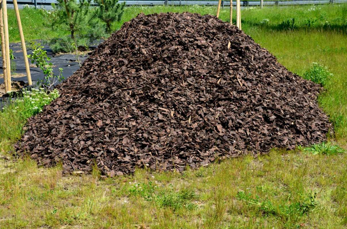 "Flattening out the top of the pile and making it a bit bowl-shaped helps it capture any rain that falls."