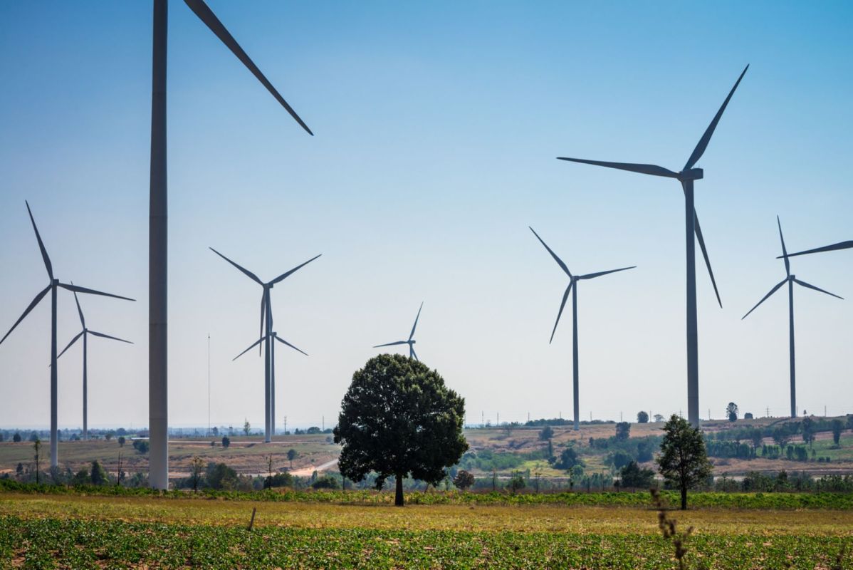 "Wind power has a carbon footprint 99% less than coal-fired power plants, 98% less than natural gas, and a surprise 75% less than solar."