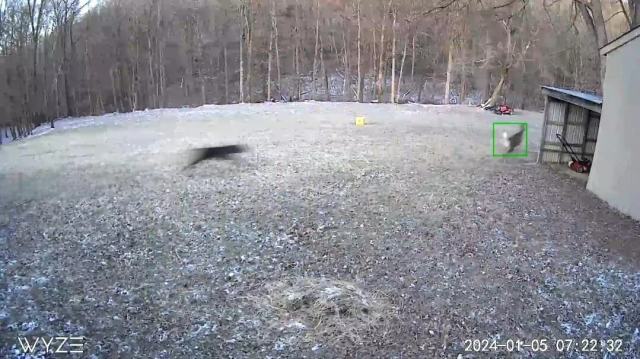 "Call the police, county warden, DNR, anyone you can to help. The dog is aggressive."