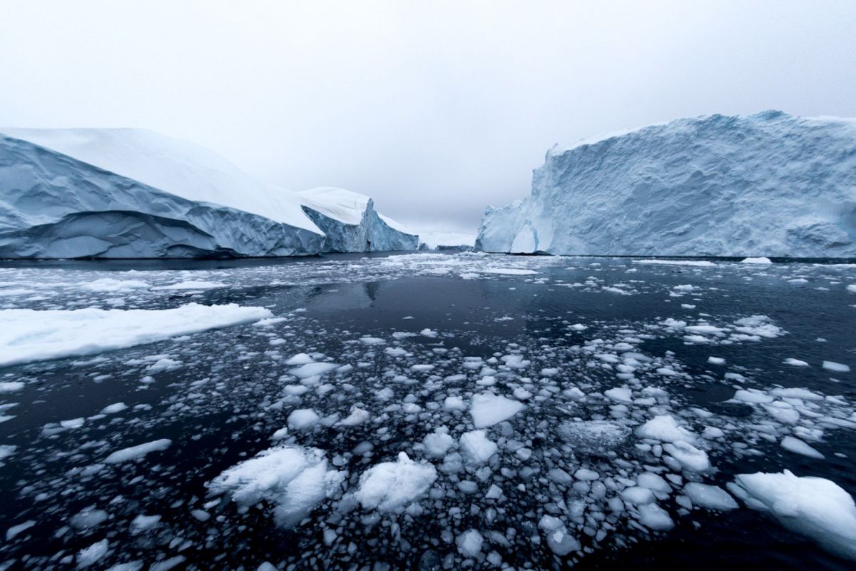 The circulation of these materials in the Arctic Ocean can have huge impacts on marine life and human health.