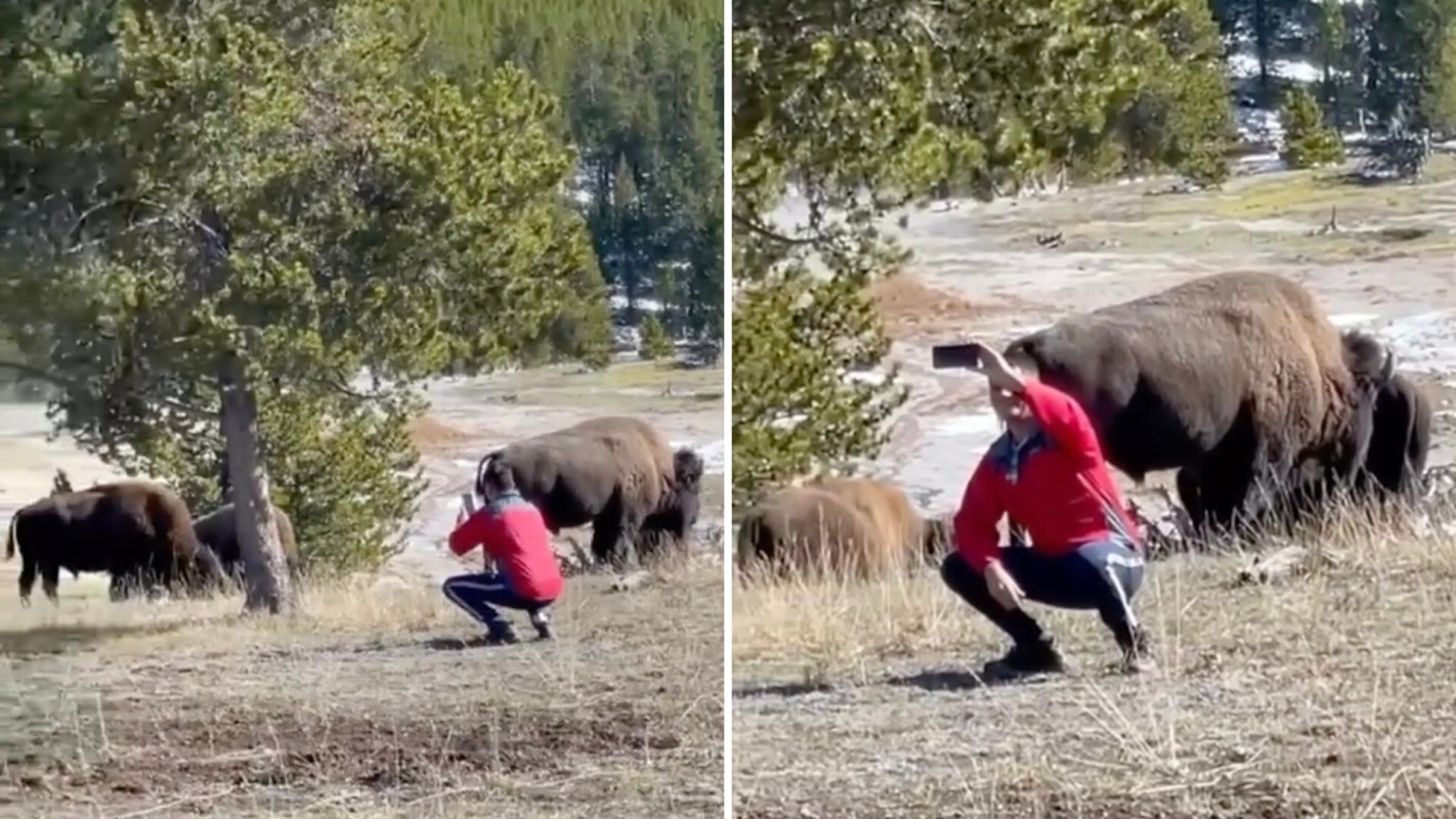 Such incidents highlight the urgent need for greater awareness and respect for nature, as well as stricter enforcement of park regulations to prevent further harm.