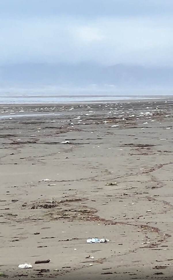 "First thought was ocean foam.  Sadly, plastic garbage is up and down the beach."