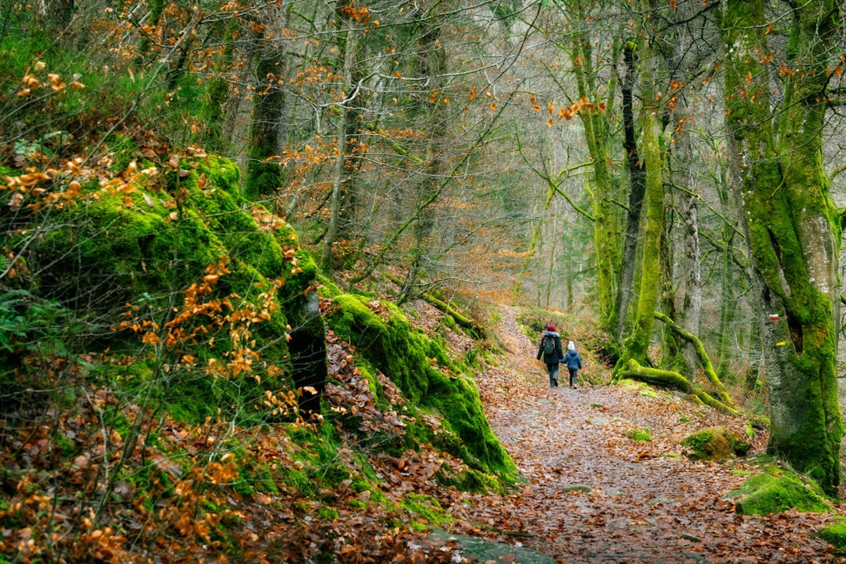 Whatever your method, the message from the experts is clear: Getting outside and into nature is good for you.