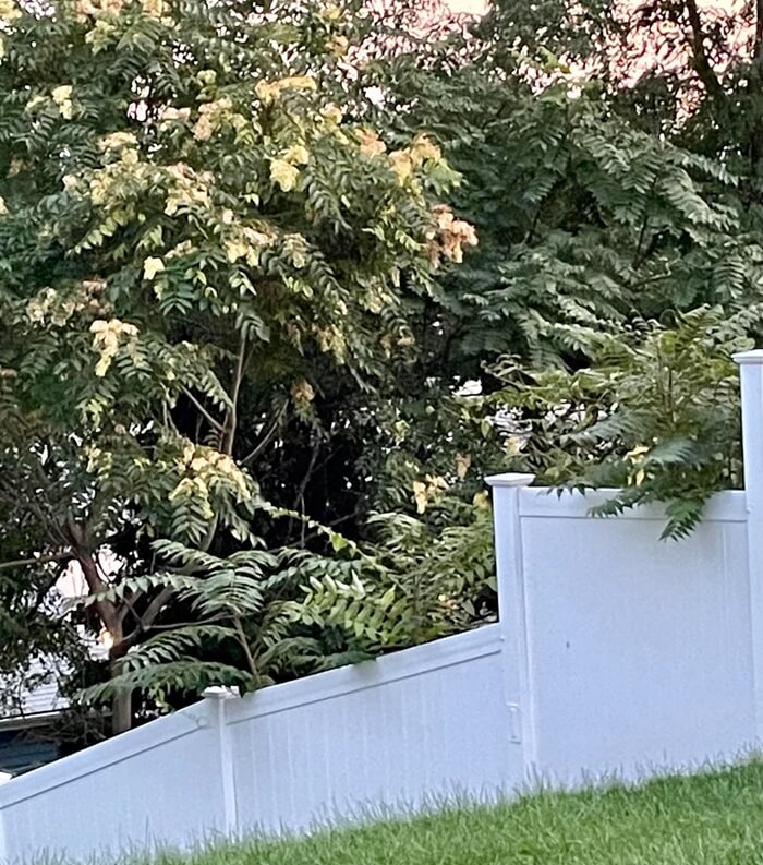 The plants just came back with a vengeance.