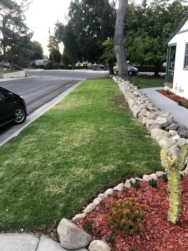 CA native garden before after