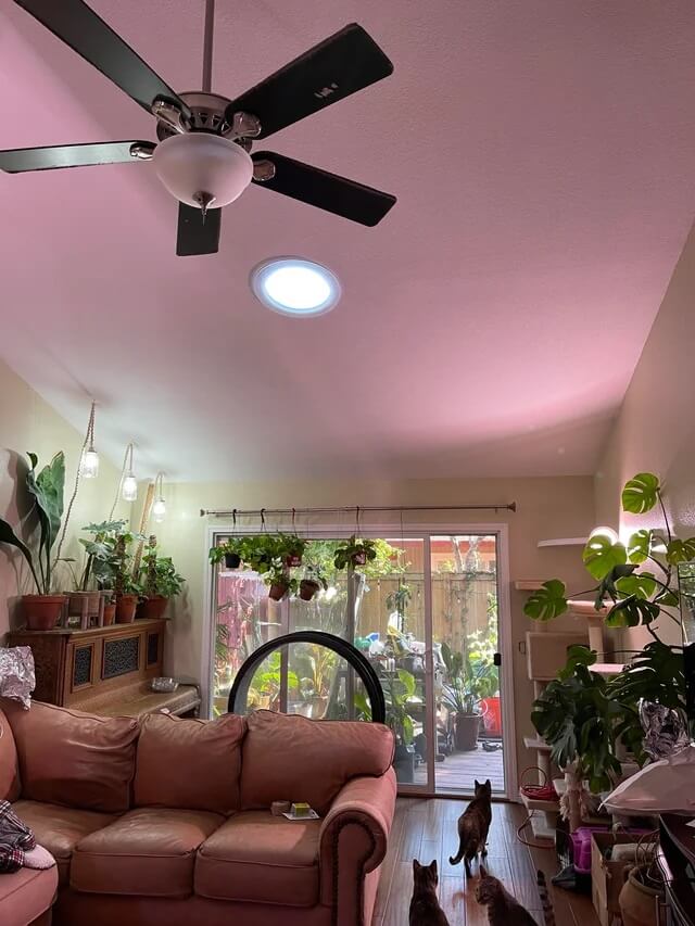 "It brightens up my whole living room."