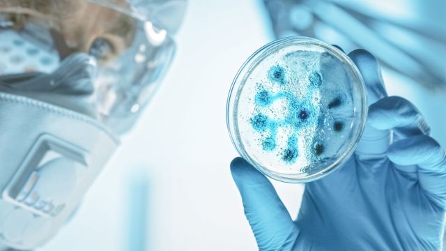 "It is a long-held vision that we are going to be able to make materials based on living things."