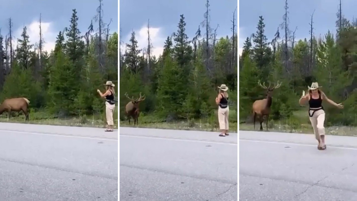 "These are the kind of people that make animals lose their lives."