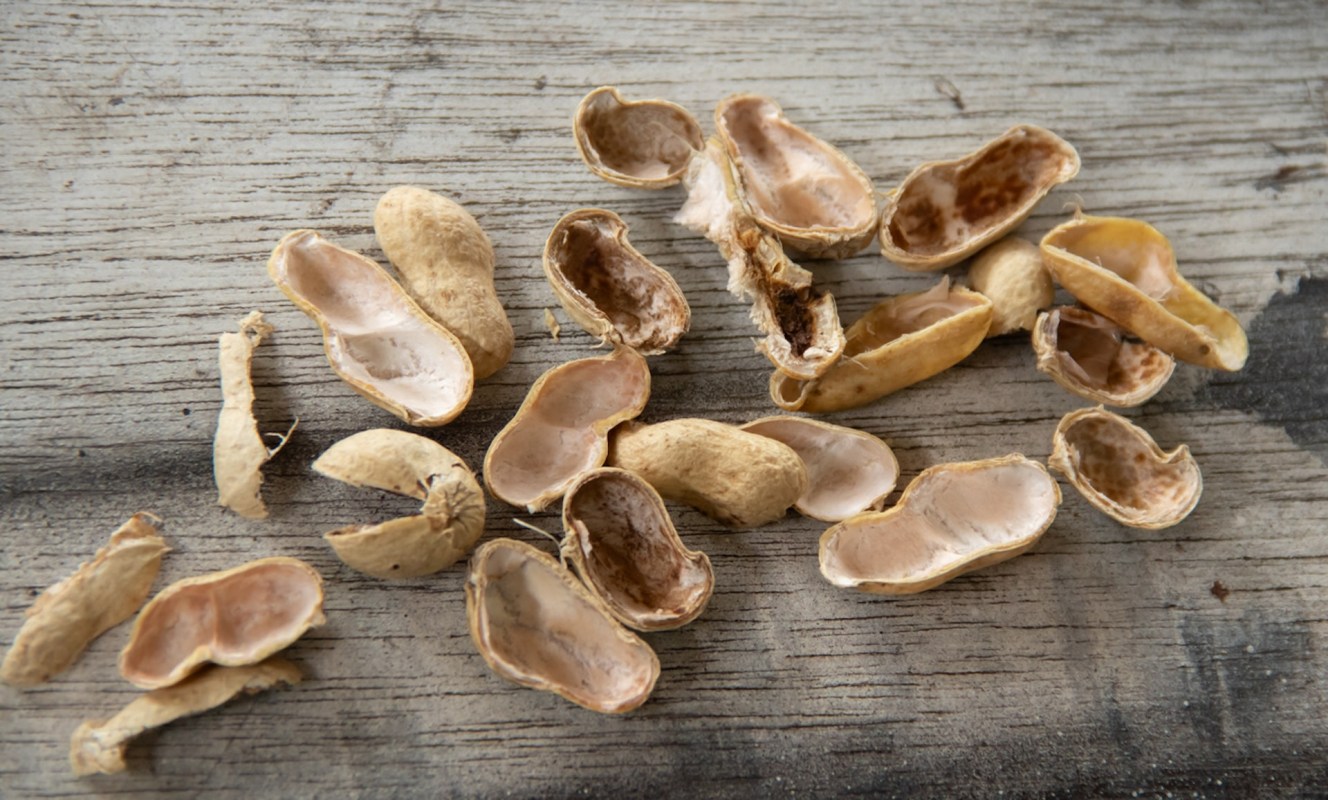 Using a commonly discarded organic material such as peanut shells to make lithium-ion batteries is an elegant solution to two problems at once.