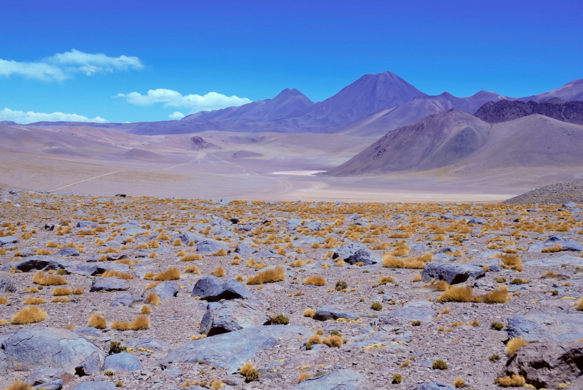 "Very few countries in the world have been able to truly consolidate a renewable energy industry like Chile."