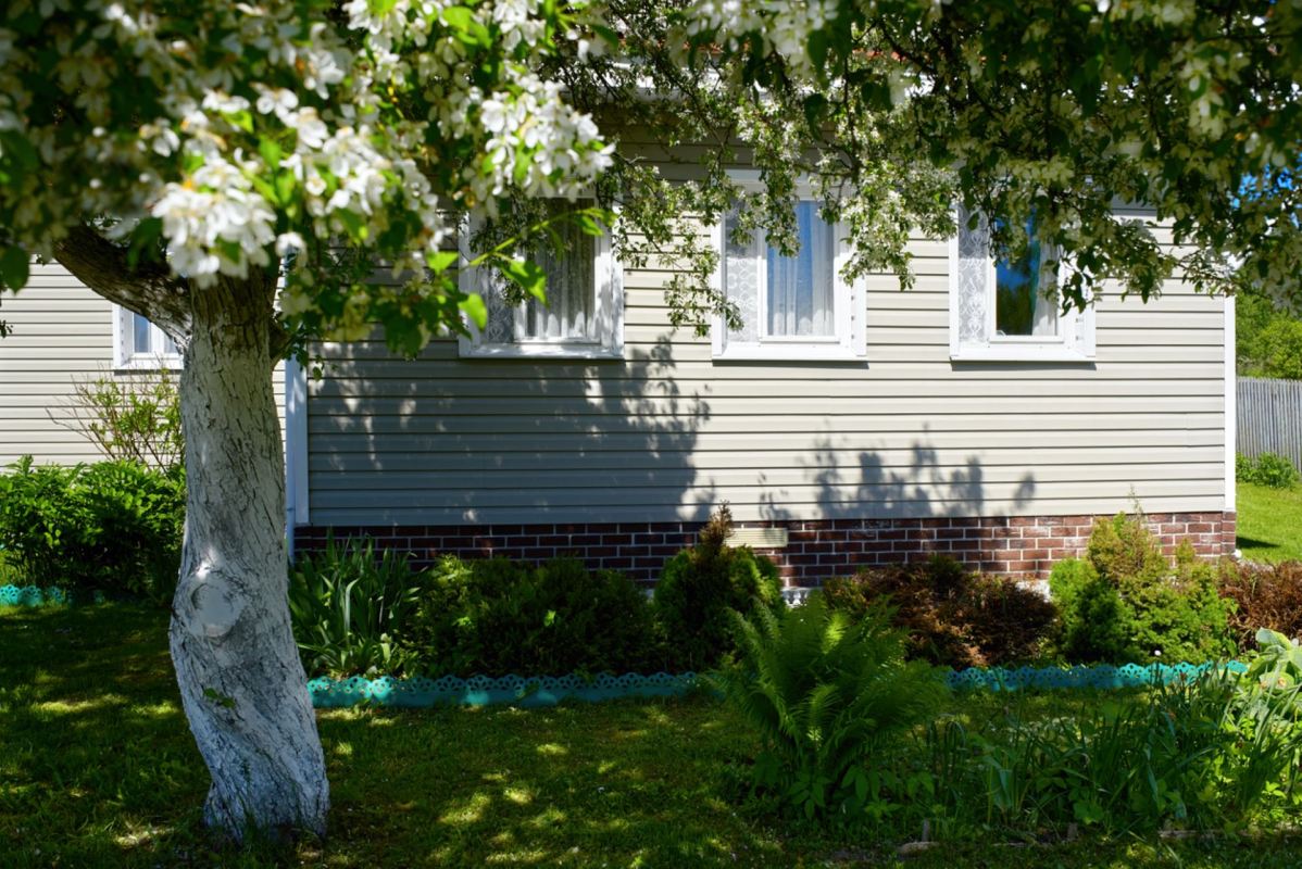 "I can't believe you're able to have such a great and varied garden of native with an HOA!"