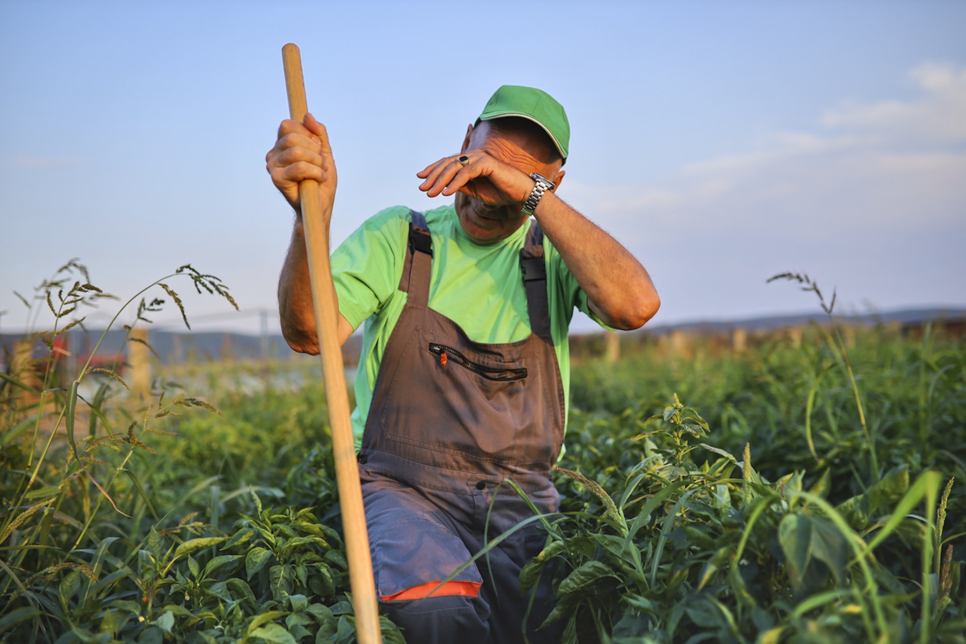 "The agricultural workers who plant, till, and harvest much of the food we need will also suffer."