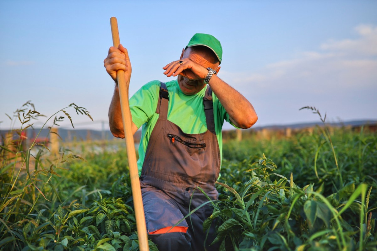 "The agricultural workers who plant, till, and harvest much of the food we need will also suffer."