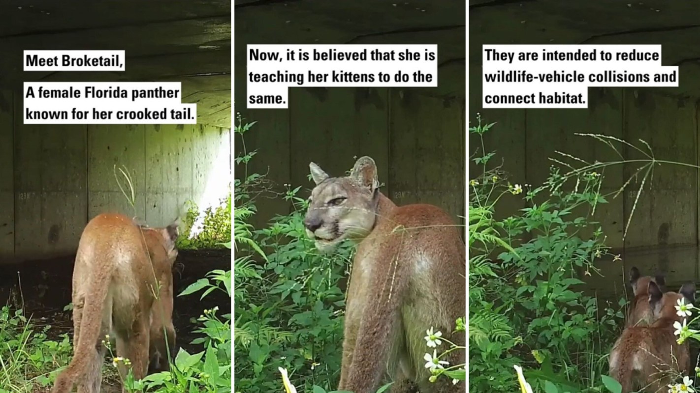 "Such a cool thing to witness."