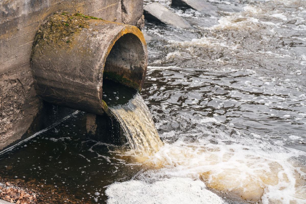 Before the technology can be used in water treatment plants or elsewhere, more experimentation is needed, including large-scale trials.