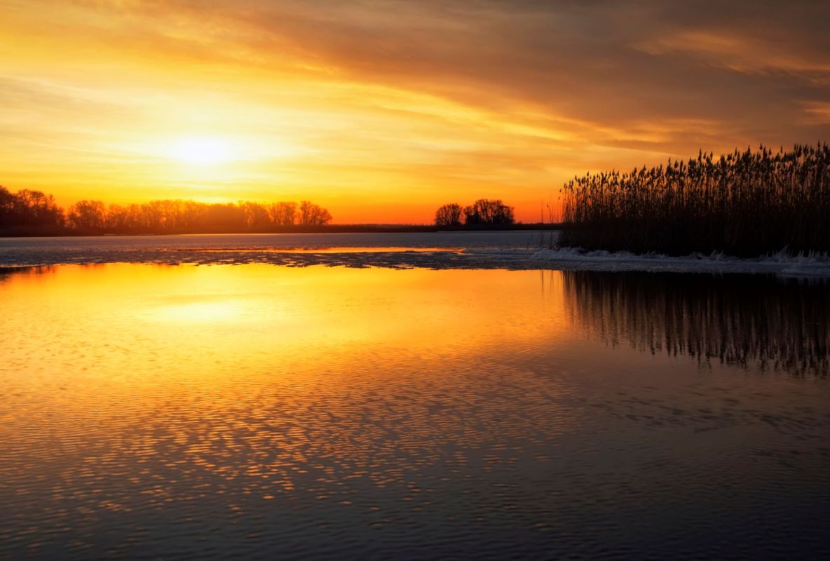 "February joins the long streak of records of the last few months."