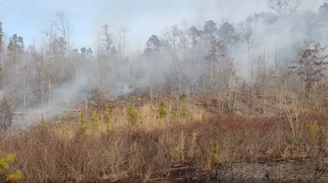 "I've been itching to burn this hillside for about two years."