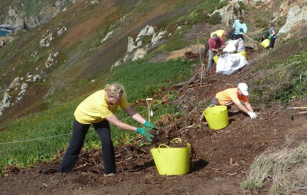 "It’s wonderful to see the biodiversity increasing as the habitat recovers."