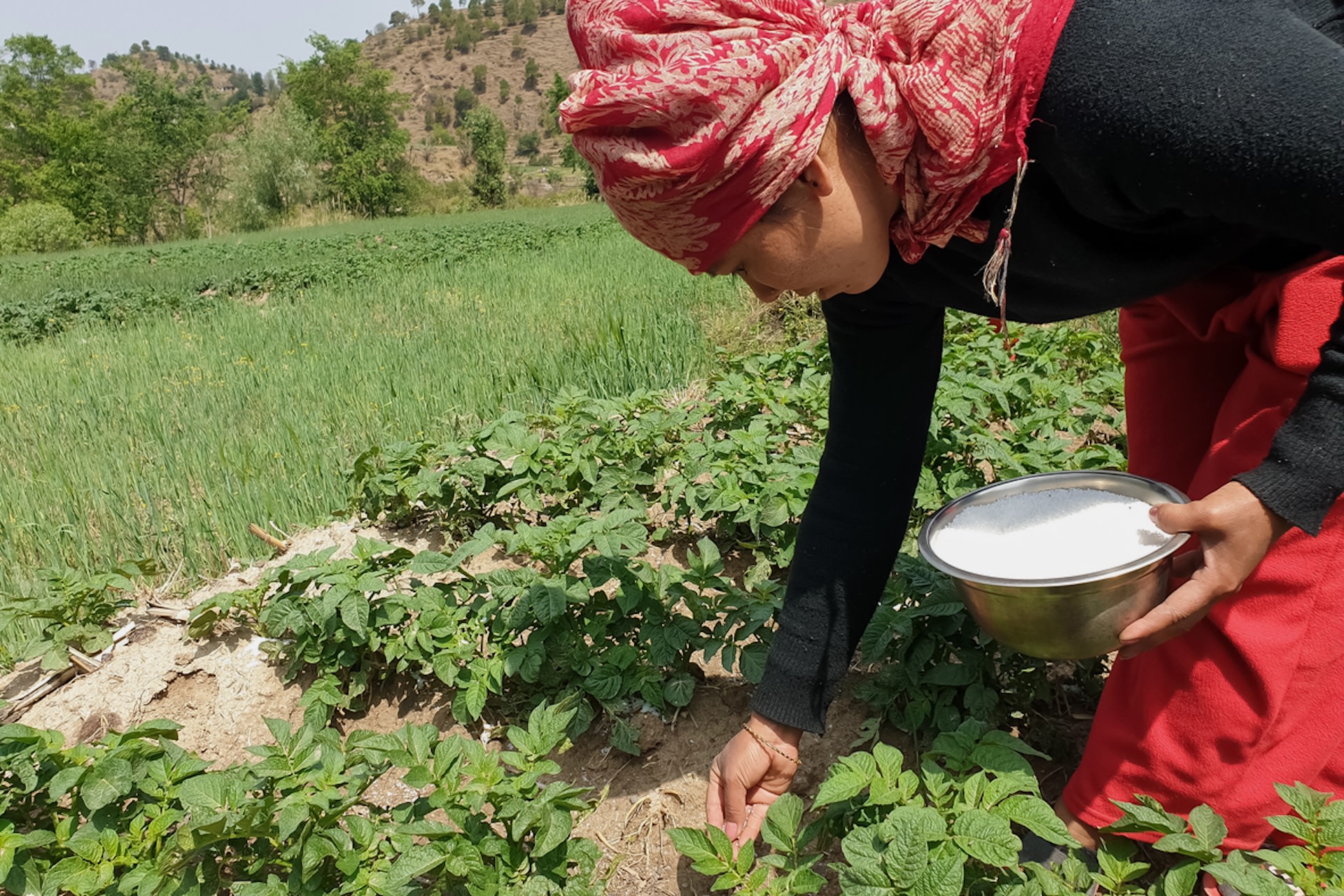 "This approach helps to build resilience in communities, increasing their ability to adapt in the face of environmental challenges."