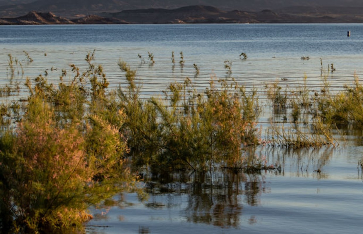 "The reservoirs will empty faster unless water users throughout the basin can figure out ways to use less."