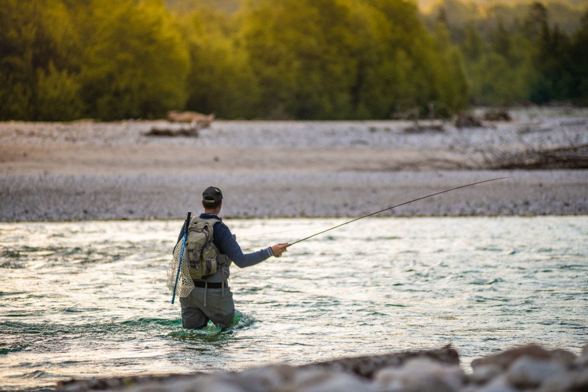 The incentives have been a success for wildlife officials and the local salmon population.