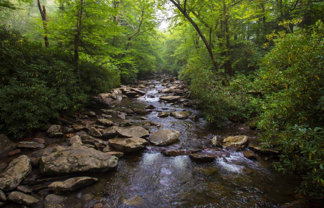 "If this is just what collects in the creeks, I can only imagine what landfills look like."