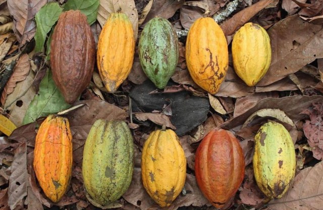 "They're like light-years beyond what you just normally buy in the grocery store."