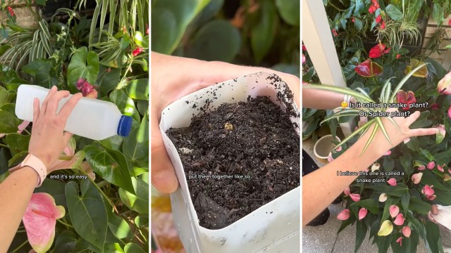 Why spend money on plant pots when you can make your own at home?