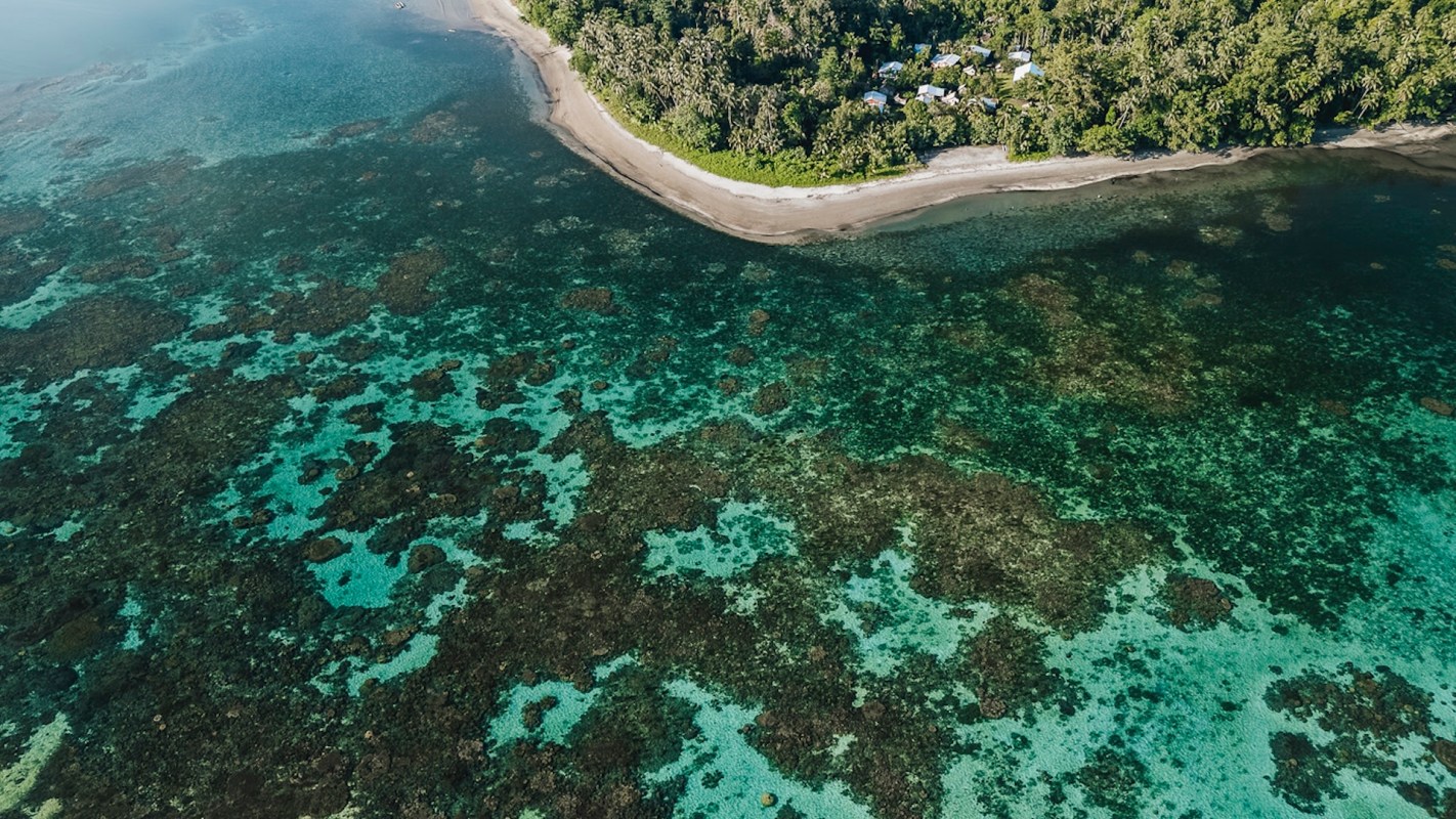 If coral reefs die or dwindle in health, whole ecosystems could be affected.