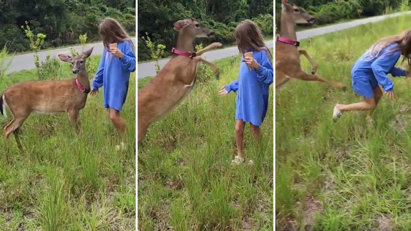 It's important for parents to teach their children to respect wildlife.