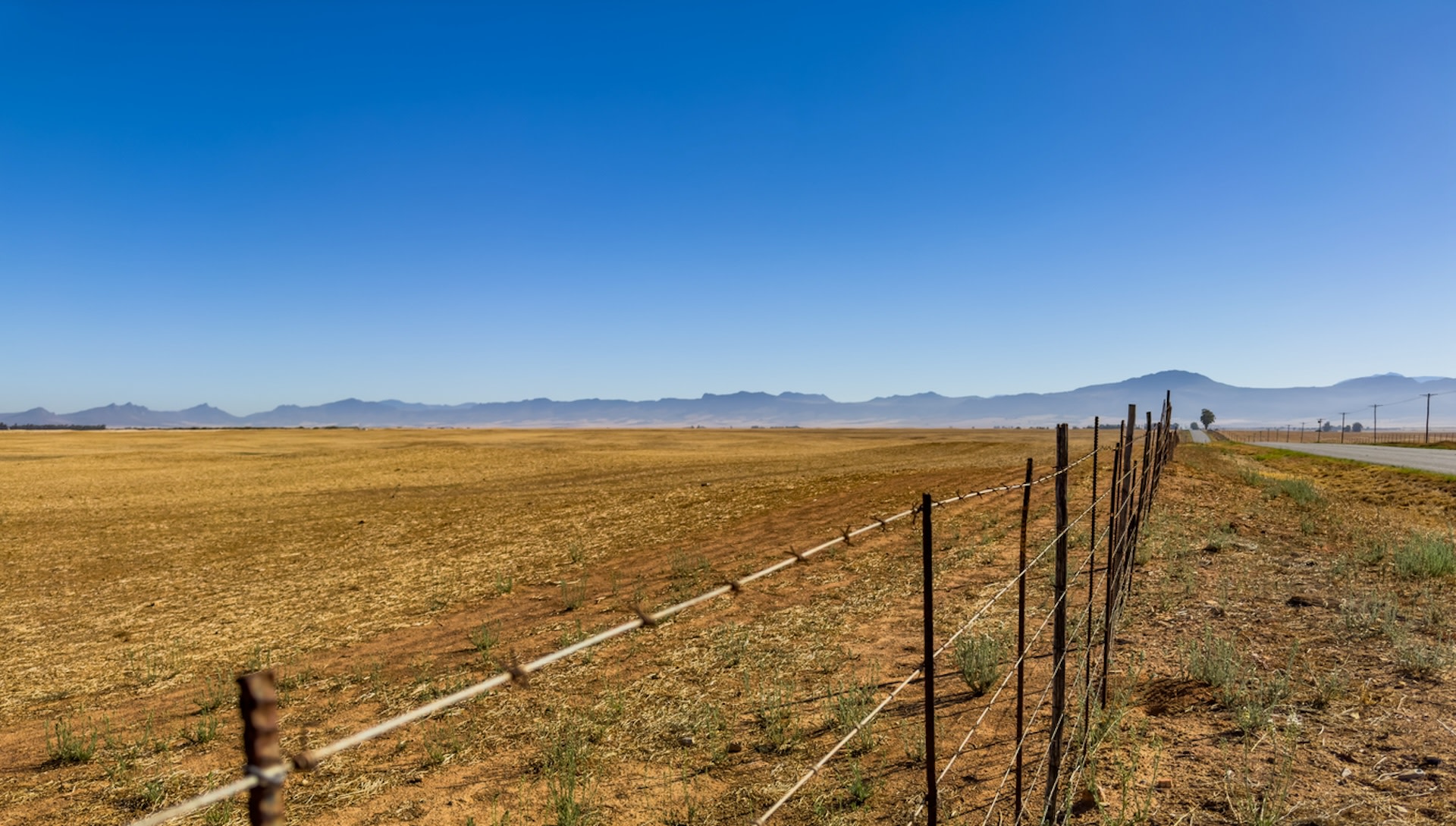 Seventy percent of southern Africa's maize comes from South Africa.