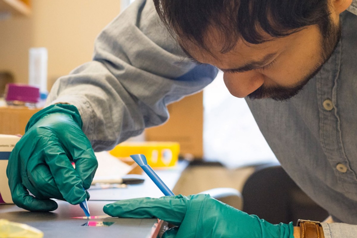 The health of everyone depends on our society's ability to treat water for micropollutants.
