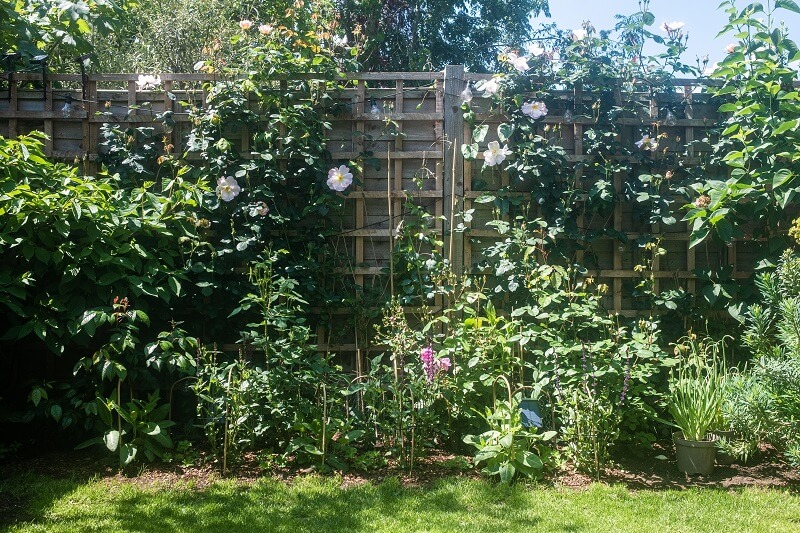 "You have truly brought this garden to life!"