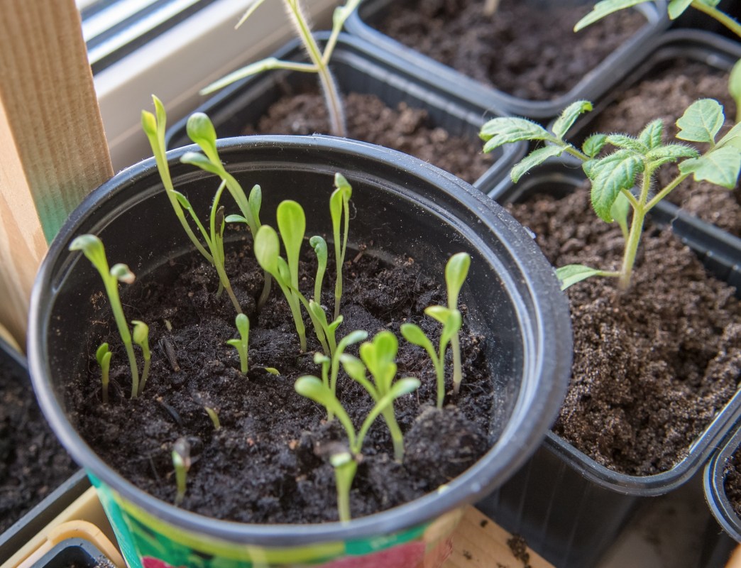 "Gardening is fantastic for repurposing trash."