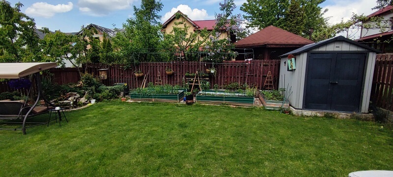 It might seem daunting to take on the task, but even replacing part of your lawn with native plants will provide some of these benefits.