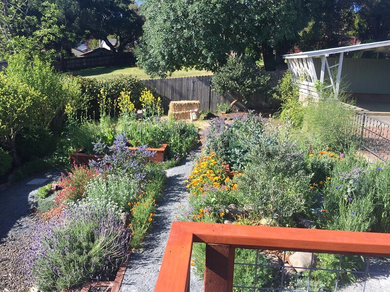 This type of garden has minimal water needs, making it extremely cheap to maintain.