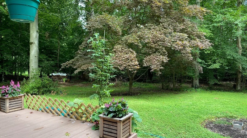 This low-maintenance, eco-friendly alternative to conventional grass lawns offers several benefits for both the homeowner and the environment.