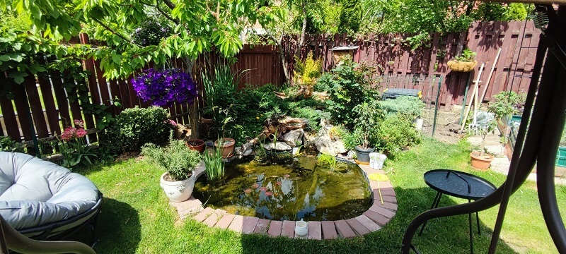 It might seem daunting to take on the task, but even replacing part of your lawn with native plants will provide some of these benefits.