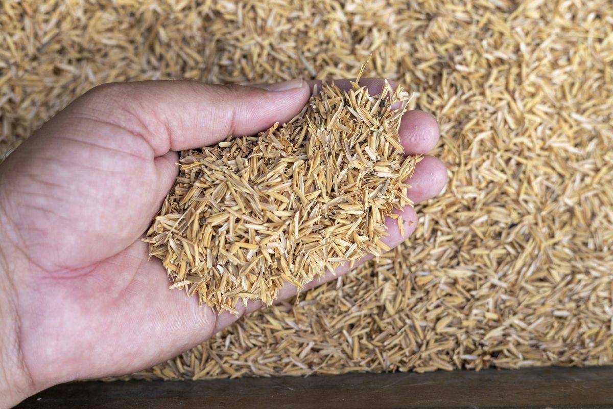 Scientists are exploring other promising plastic-free packaging innovations as well.