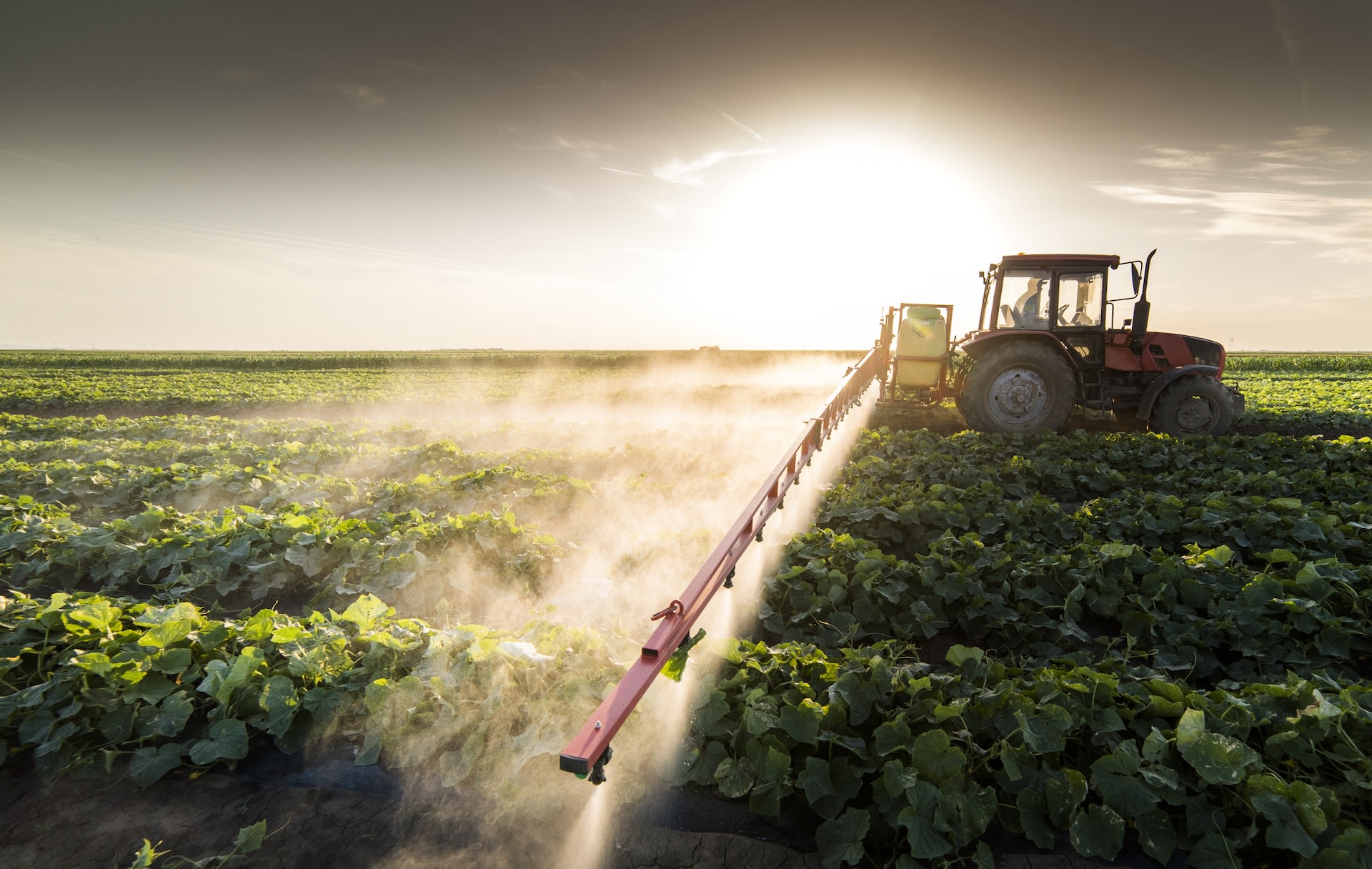 "No one gave their consent to be exposed to these harmful chemicals."