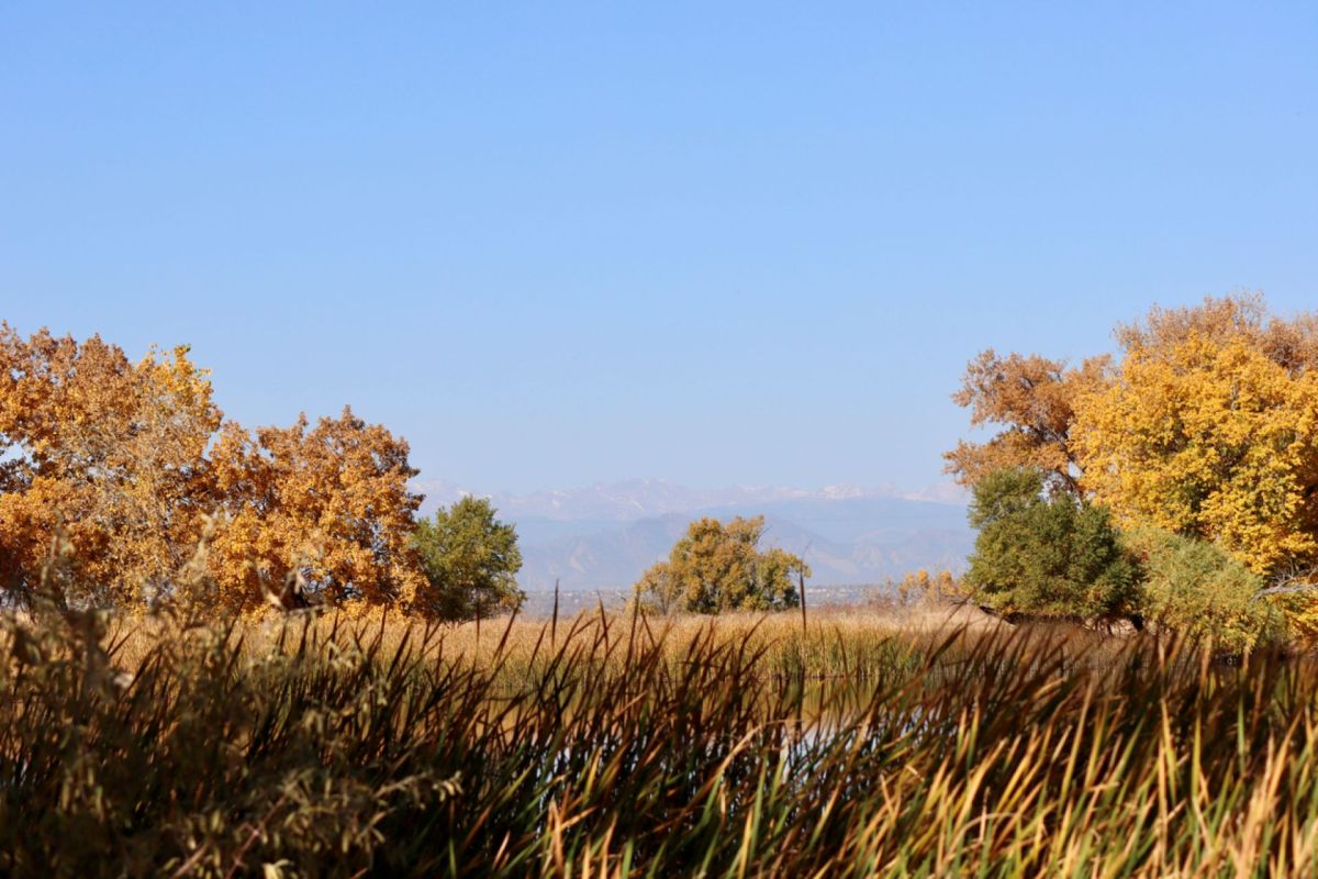 "We need to treat our lands better than this."