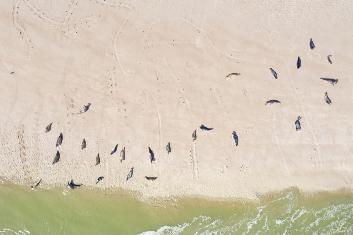 "We have been operating for 75 years, and we have taken all this time to protect wildlife. So when something like this happens, it feels like a failure."