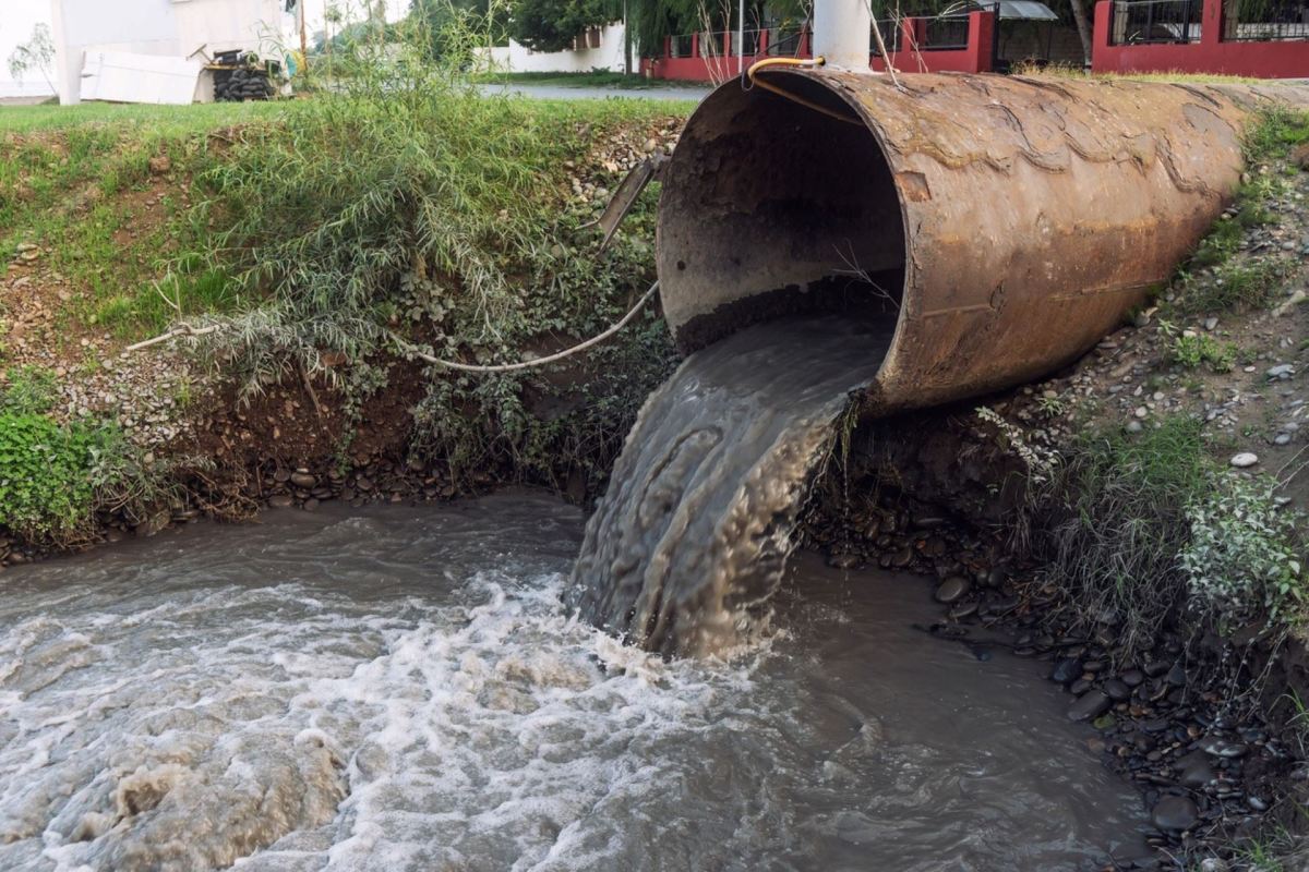 Severn Trent is lucky that its leaks did not cause catastrophic pollution in the river thanks to high water flows when the discharge occurred.