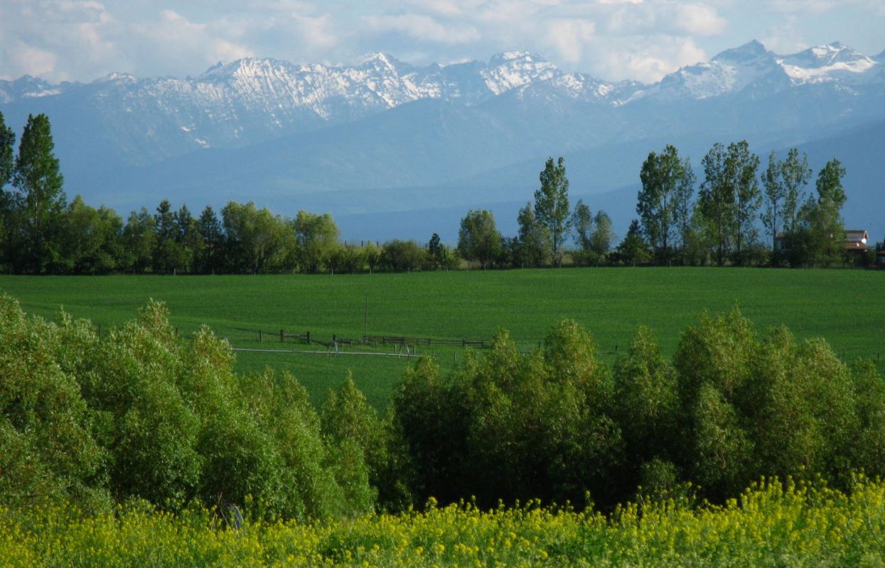 The Bitterroot Mountains are one of six key recovery zones for grizzlies in the Lower 48 states.