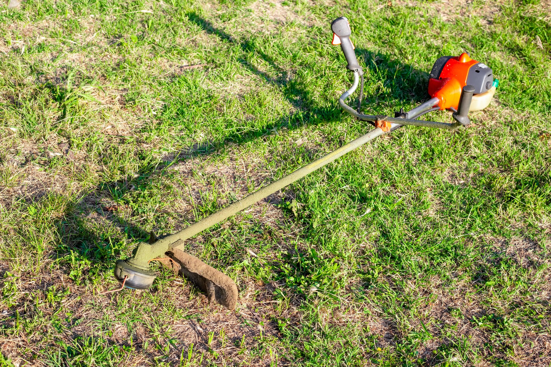 "I am forced, based on where I live, to allow a company to mow my lawn."