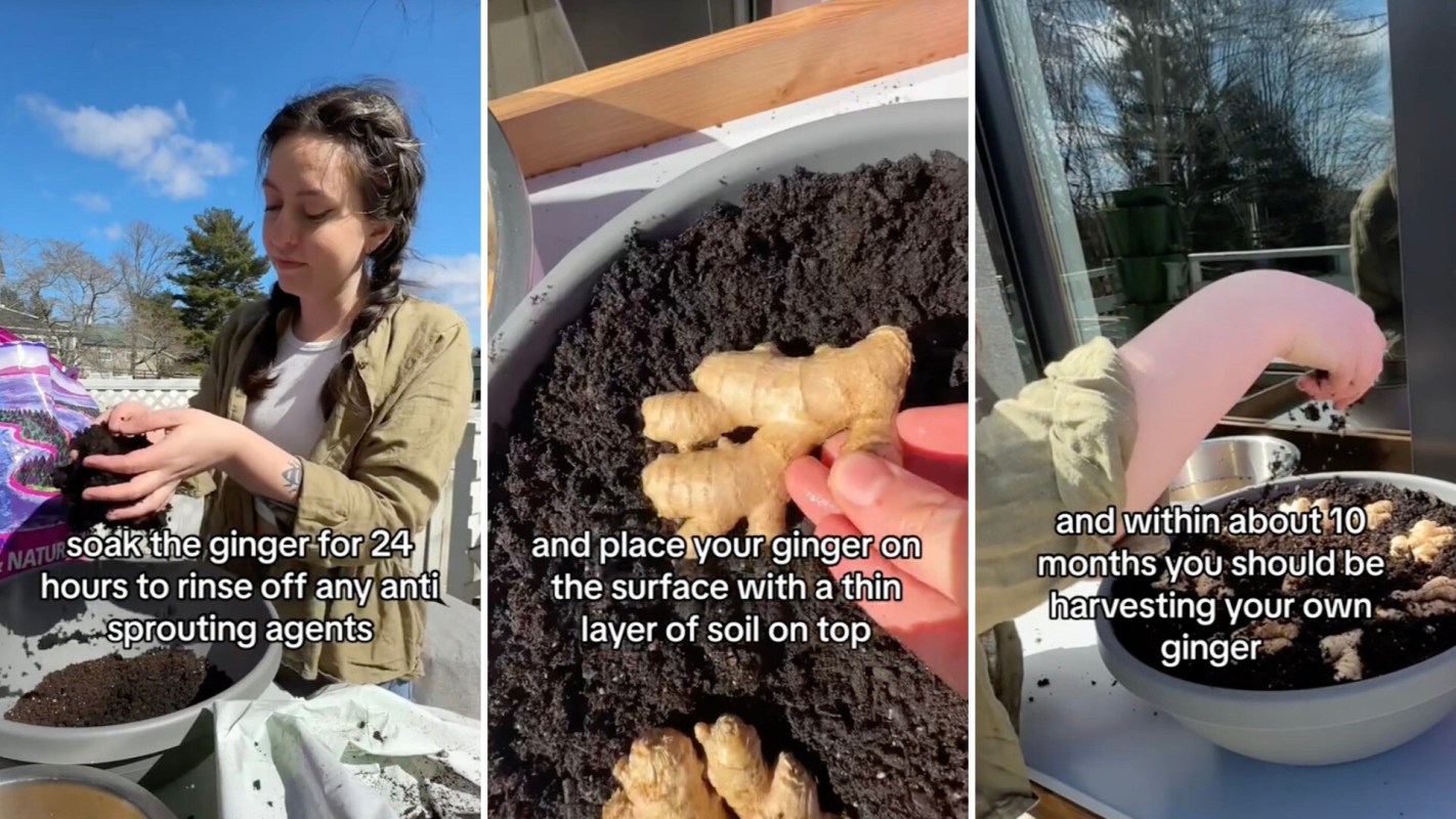 "Normalize slow food."
