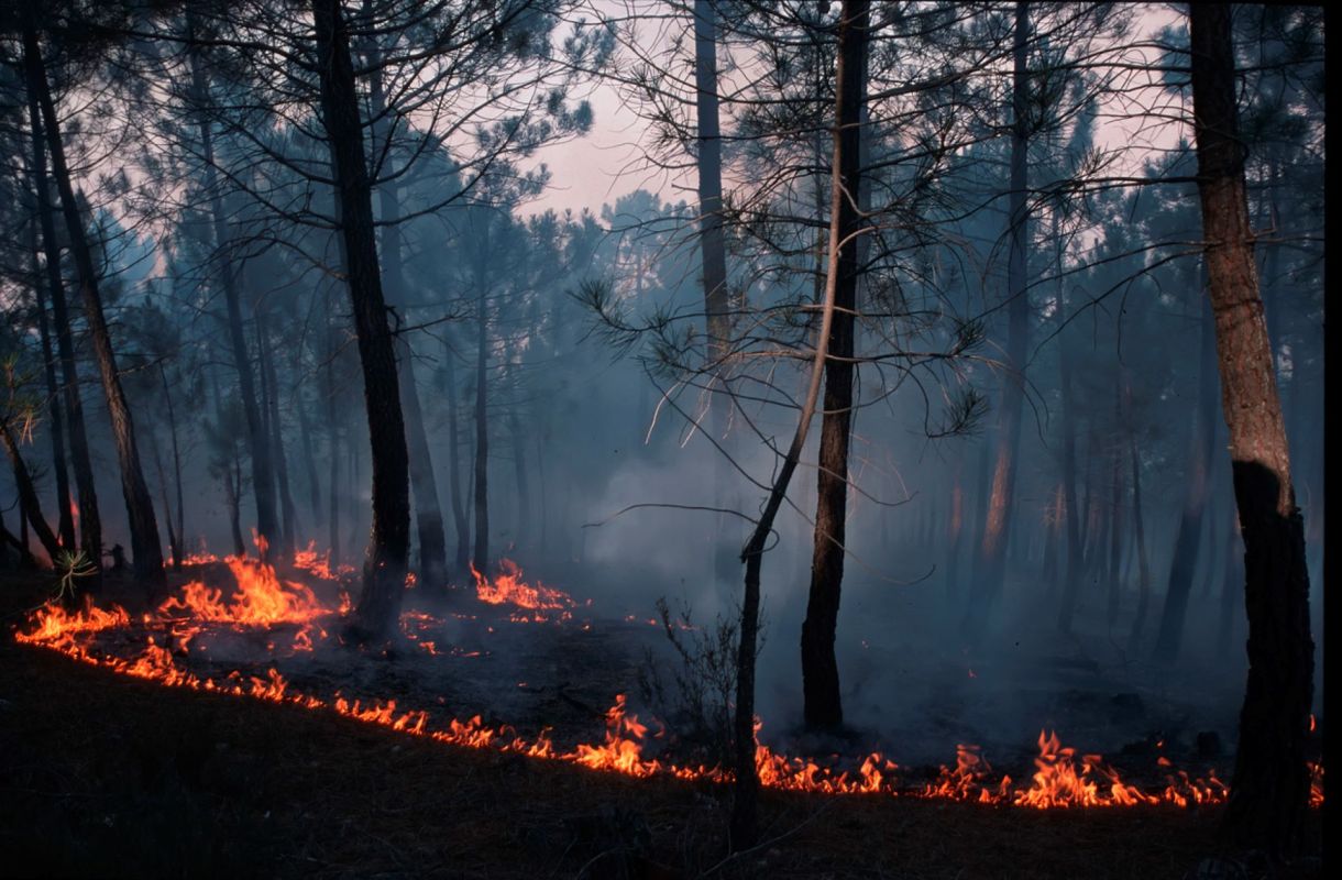 Beyond the devastation of the fires themselves, the pollution from these natural disasters is dangerous to human health.