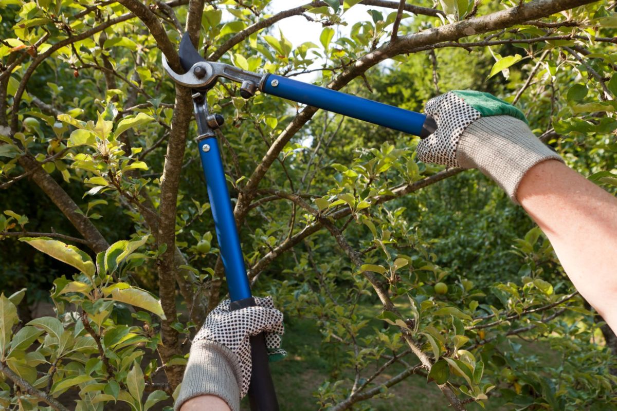 "You're telling me I can swing a chainsaw on a rope around in circles and get paid for it?!"